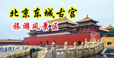 操逼黄片在哪里中国北京-东城古宫旅游风景区